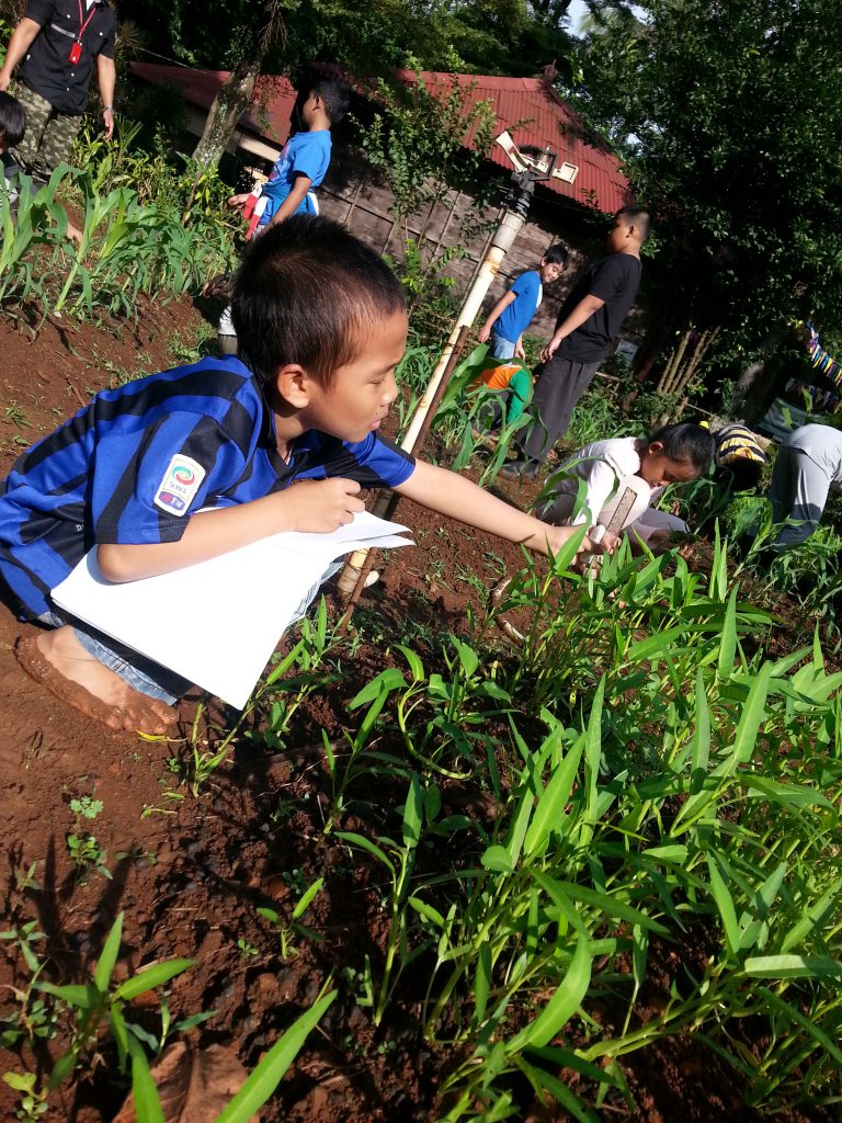 Read more about the article Morning Activities : Berkebun