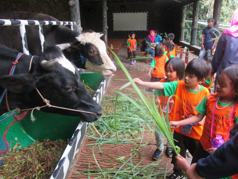 Read more about the article Field Trip Cimory – Cisarua Bogor