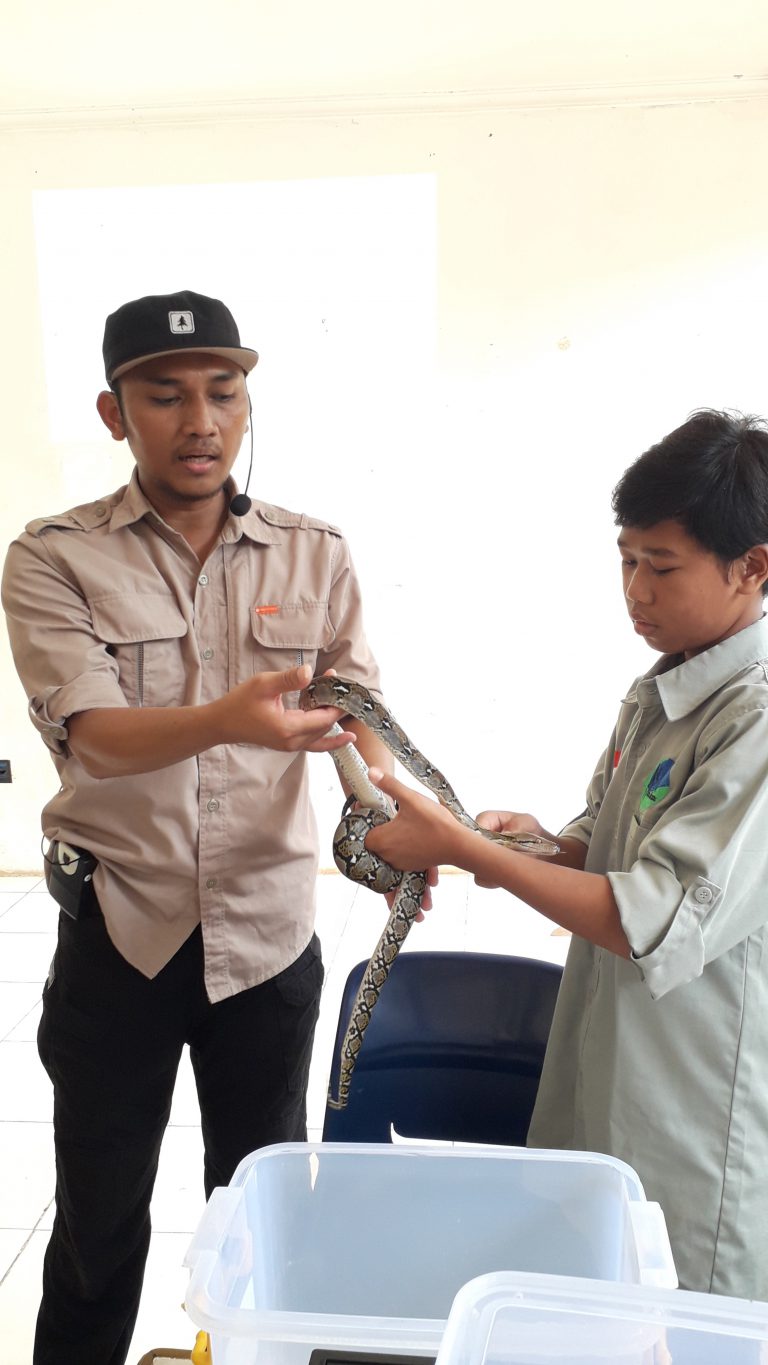 Read more about the article Pengenalan Reptil Ular SD Tanah Tingal