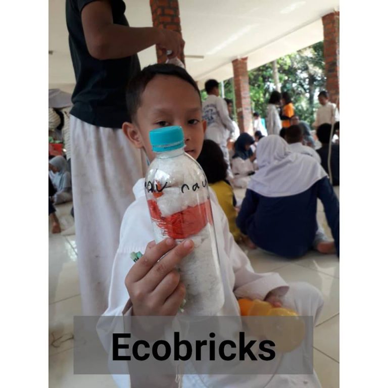 Read more about the article Ecobricks