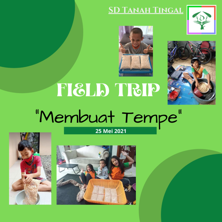 Read more about the article “Perjalanan Biji Kedelai Menjadi Tempe” – Field Trip SD Tanah Tingal