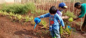 Read more about the article Kegiatan Berkebun KB-TK Tanah Tingal